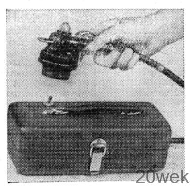 ТРАНЗИСТОРНЫЙ СИГНАЛИЗАТОР РОЕНИЯ ПЧЕЛ